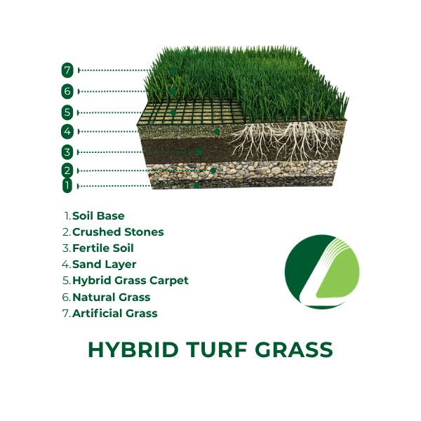 Hybrid Turf