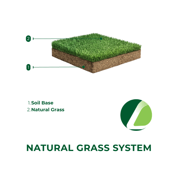 Natural Grass System